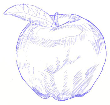 350x337 How To Draw An Apple