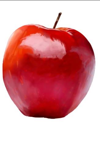327x462 Realistic Apple