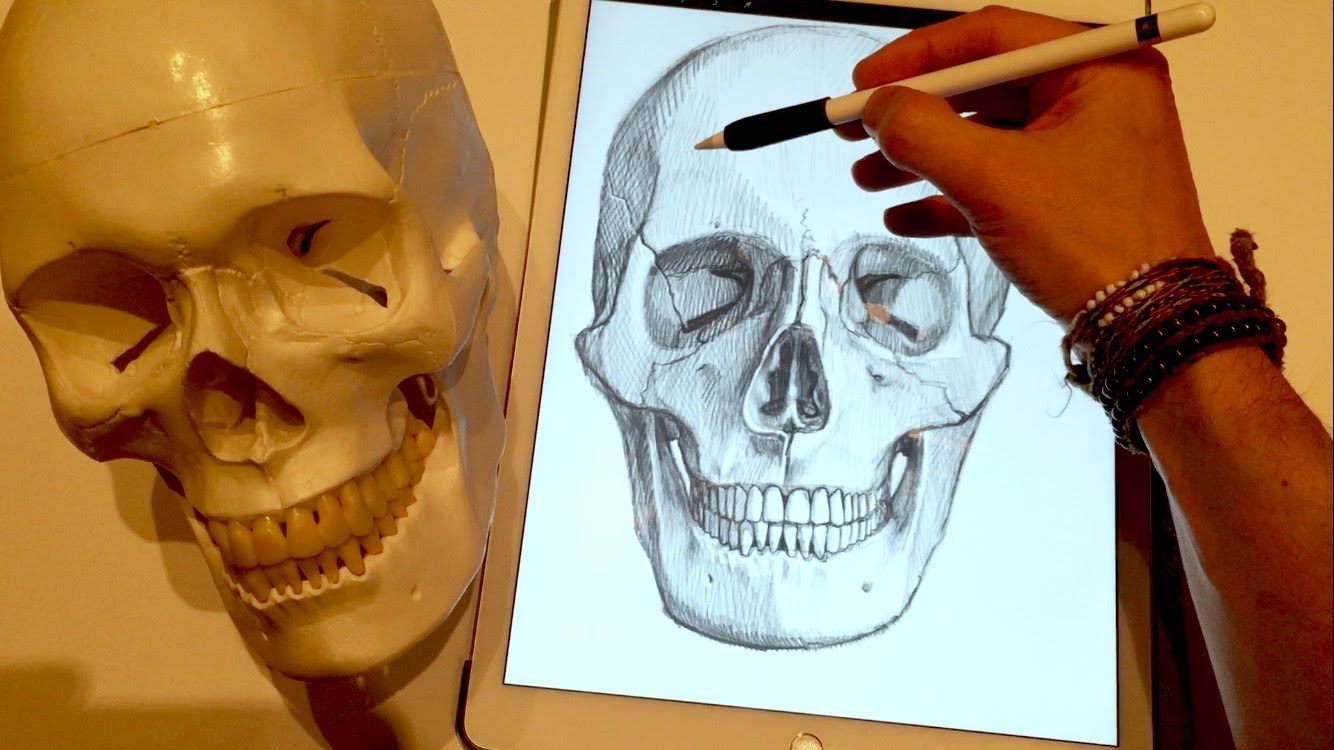 1334x750 How To Draw A Skull, On Ipad Pro With Apple Pencil