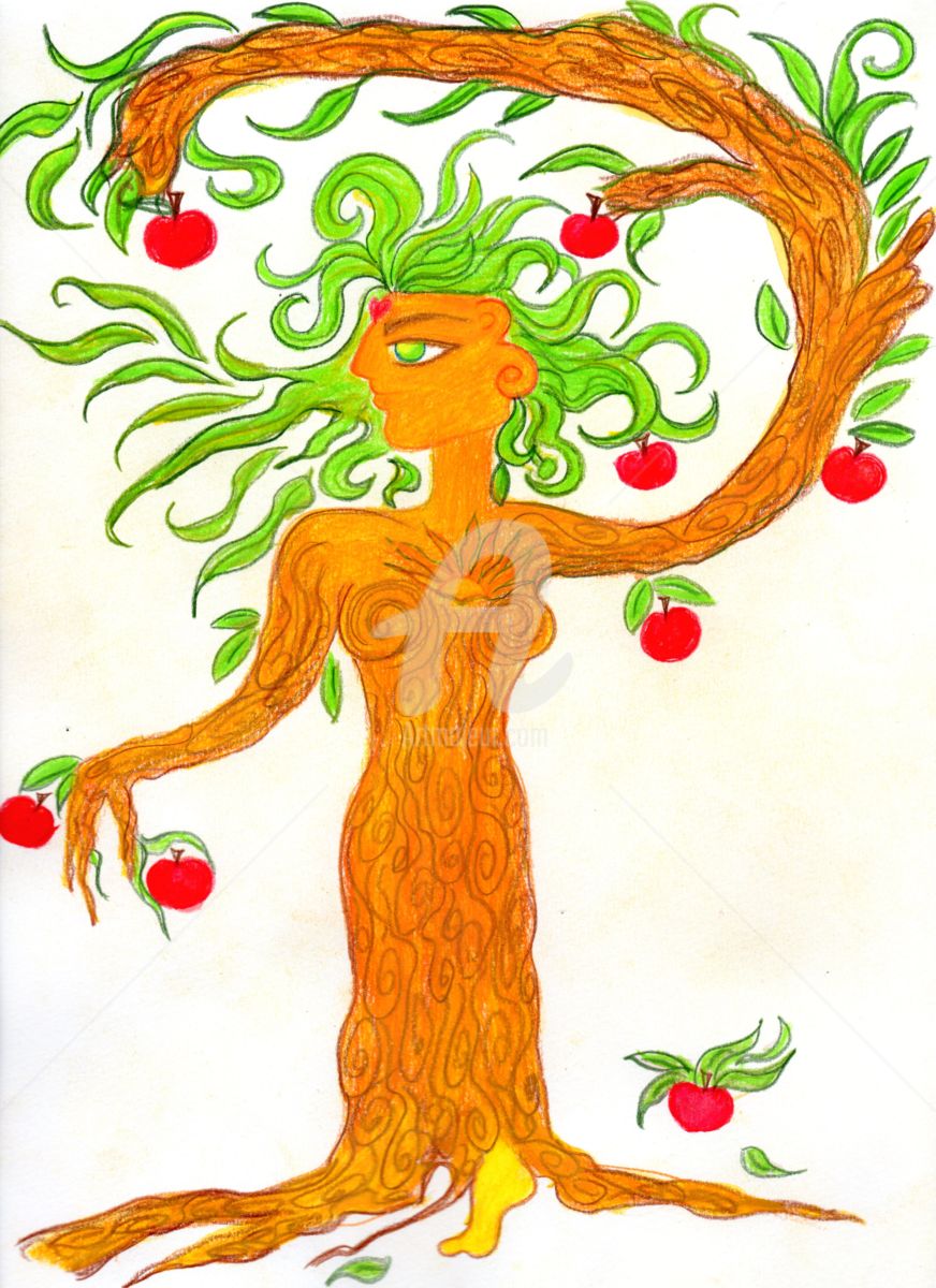 872x1200 Apple Tree (Toni Barca)