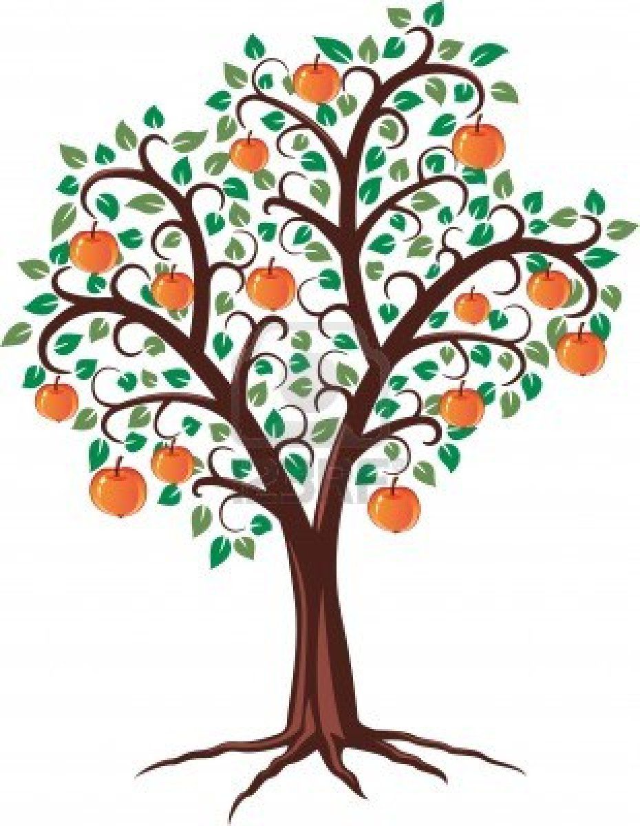 930x1200 Apple Tree Drawing