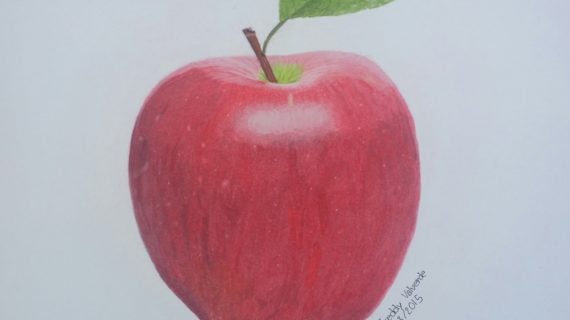570x320 Pencil Drawings Of Apples
