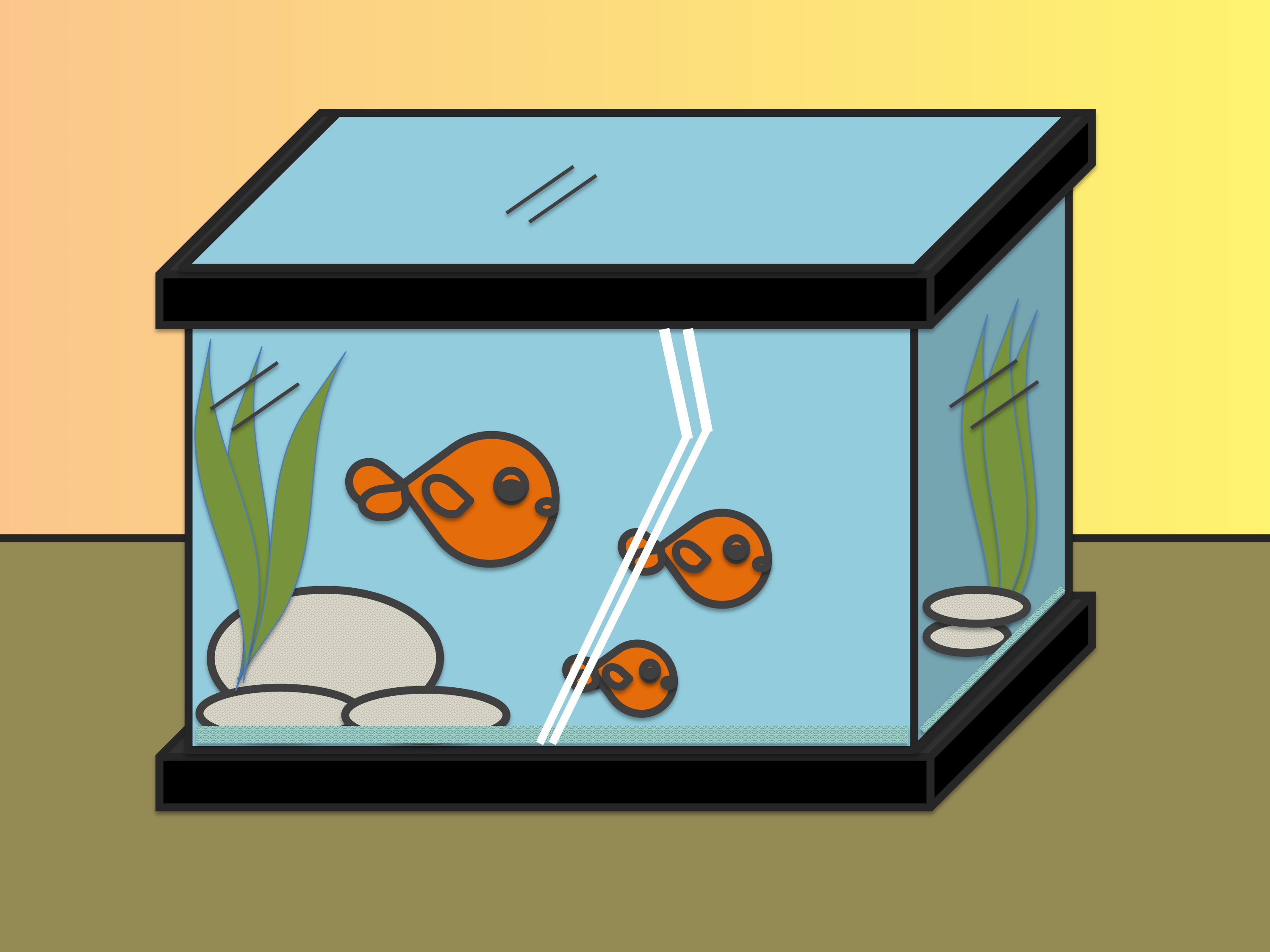2998x2248 How To Draw Fish In A Fish Tank 7 Steps (With Pictures)