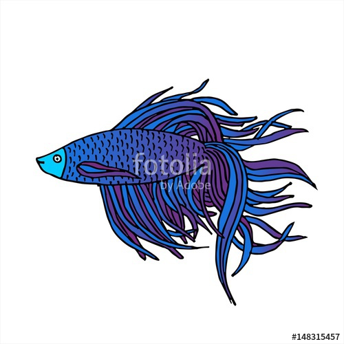 500x500 Beautiful Hand Drawn Aquarium Fish. River Fish. Sea Fish. Betta