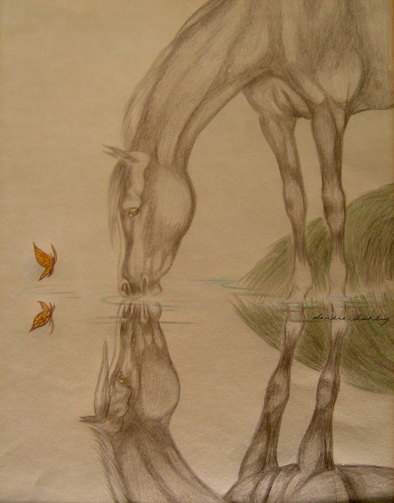 1285x1640 Arabian Horse Reflection Drawing Omero Home