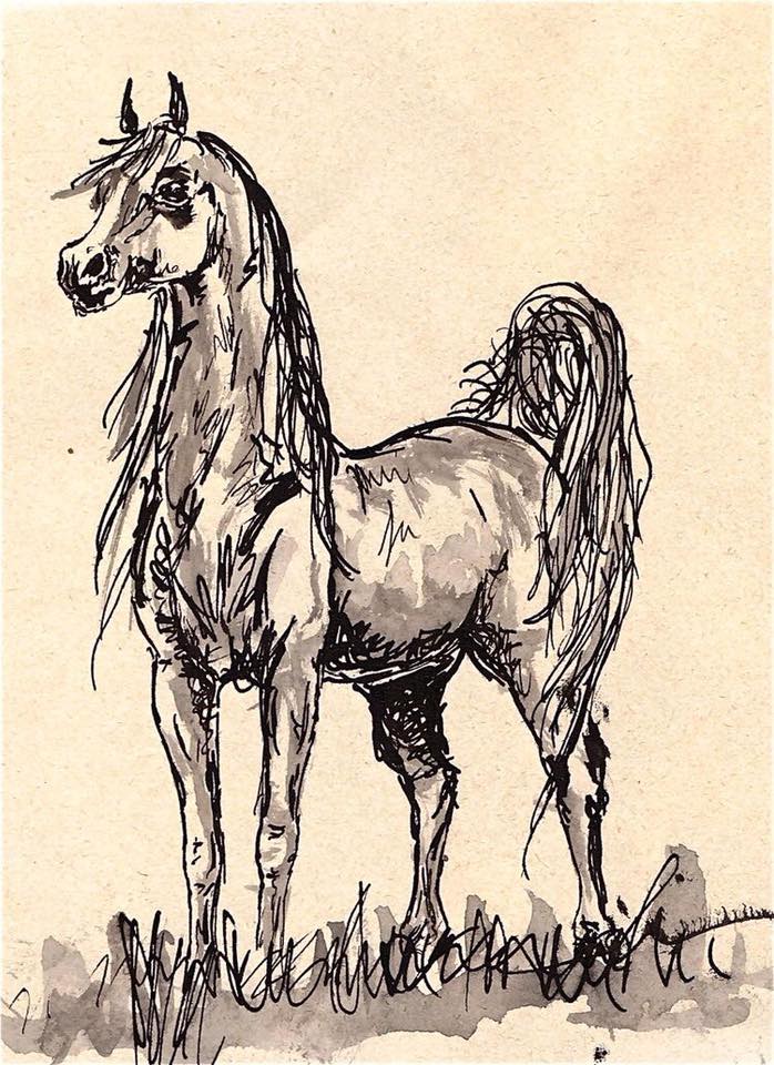 698x960 Pin By Eddie Mccain On Horses Hipster Art, Horse