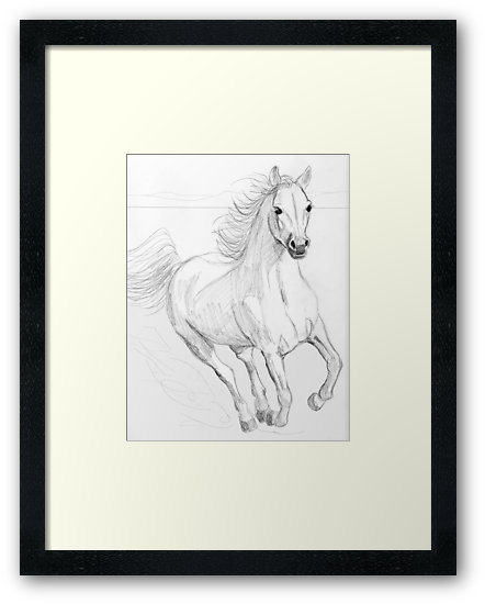 442x550 Running Arabian Horse Pencil Drawing Framed Prints By Teddie
