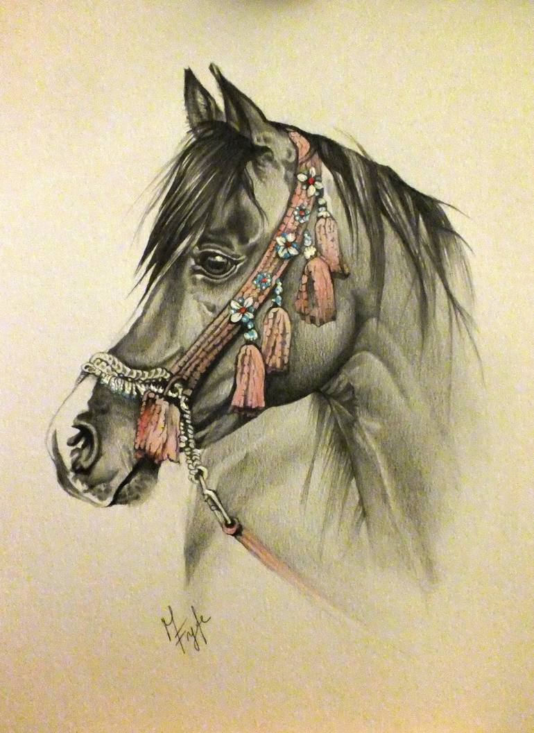 770x1056 Saatchi Art Arabian Horse Drawing By Marika Fyfe