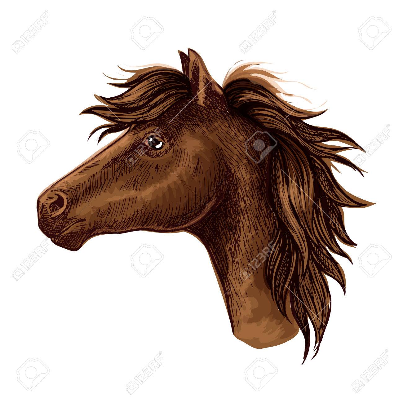 1300x1300 Brown Arabian Horse Animal Head. Beautiful Young Foal With Kind