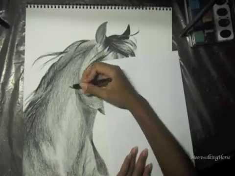 480x360 Moved Channels, See Description Arabian Horse Speed Drawing