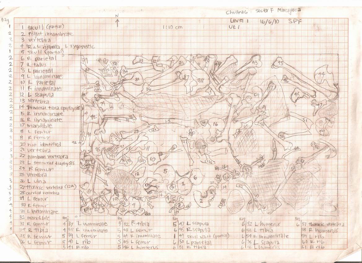 1169x850 Huari Ancash Bio Archaeological Research Project Field School 2018