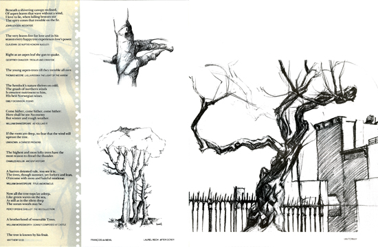 550x360 Education Of An Architect The Cooper Union