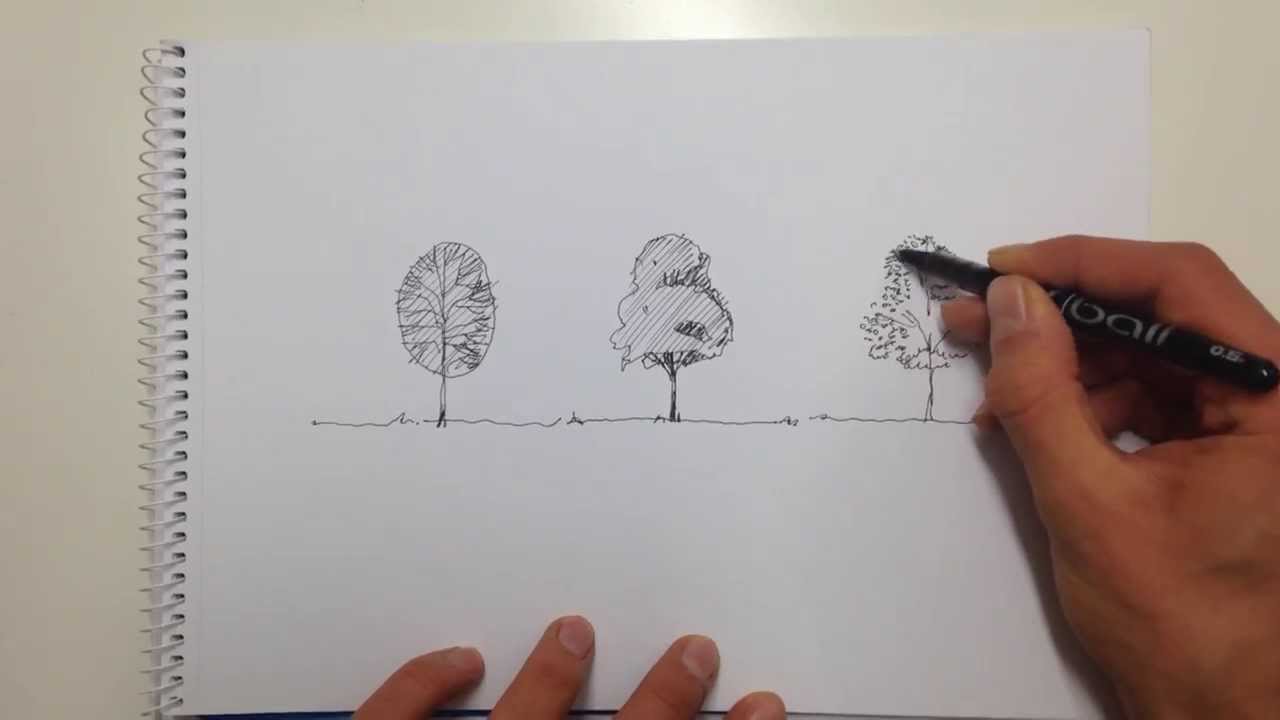 1280x720 Linescapes How To Draw A Tree! That's Sketchy