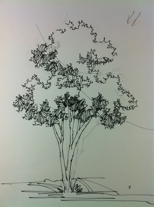 Architectural Tree Drawing at GetDrawings | Free download