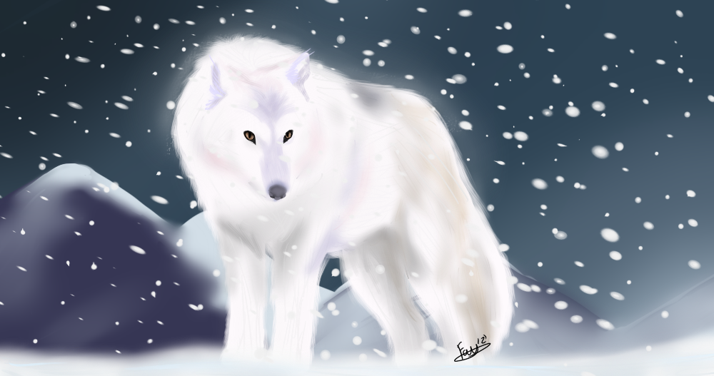 1000x527 Arctic Wolf By Feateon