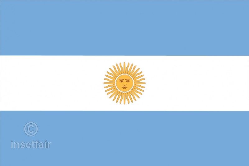 800x533 Argentina Flag Flash Vector Drawing Flash Vector Graphics