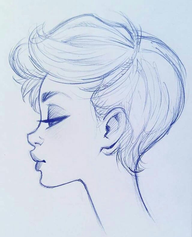 640x788 Drawing Ariel Roars