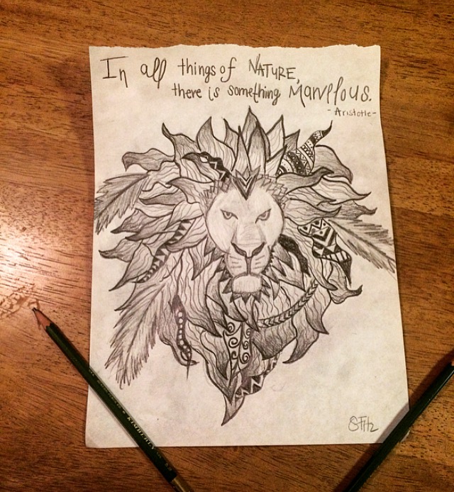 640x694 Lion Sketch, Aristotle, Pencil Drawing My Art