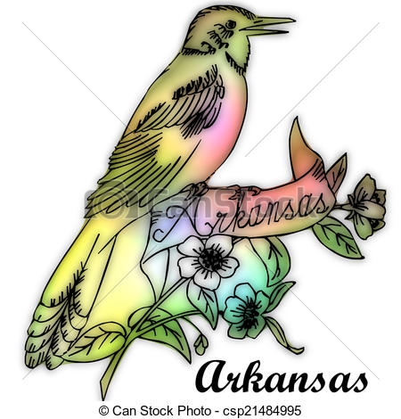 450x470 Arkansas State Bird Stock Illustration
