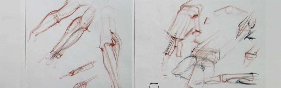 960x300 Drawing The Arm And Hand New Masters Academy