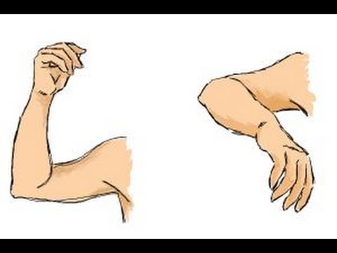 480x360 How To Draw Arms