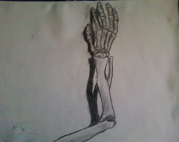 600x476 Skeleton Arm Sketch By Powerlesspigeonwrath