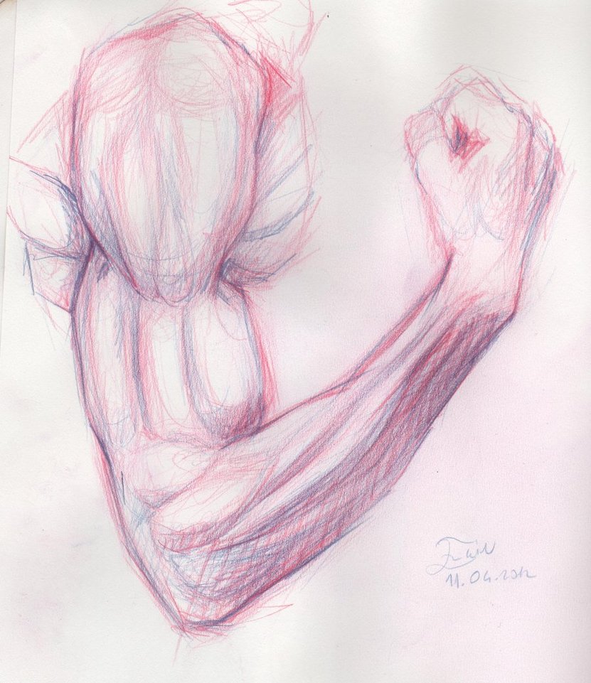 831x961 Drawing Arm Sketch By Brokensticksorginalo