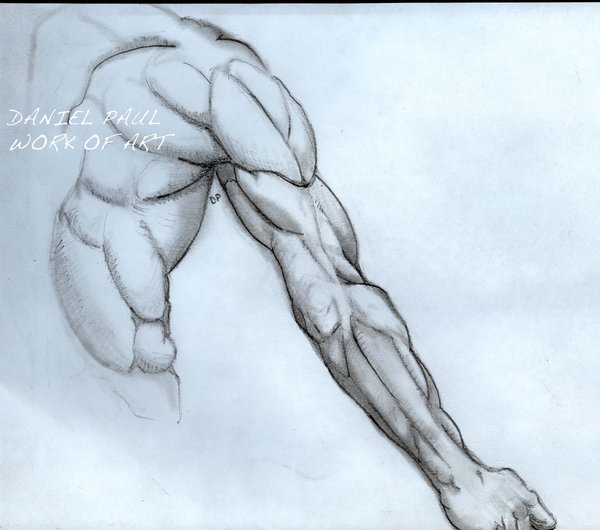 600x530 Arm Muscles By Dandanmuffinman