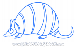 266x168 How To Draw A Cartoon Armadillo