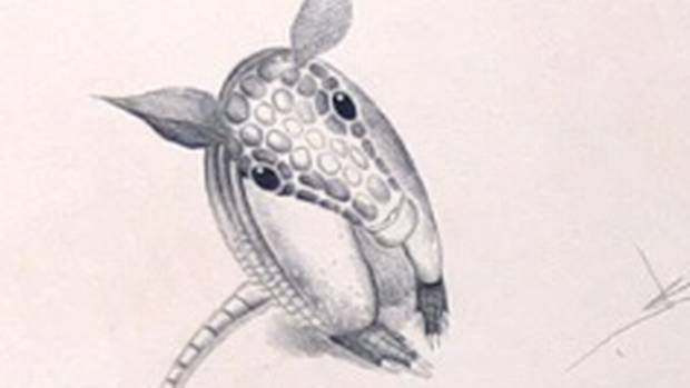 620x349 Video Drawing With Sketching