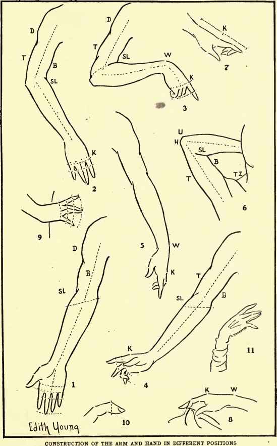549x882 The Arm Amd Hand