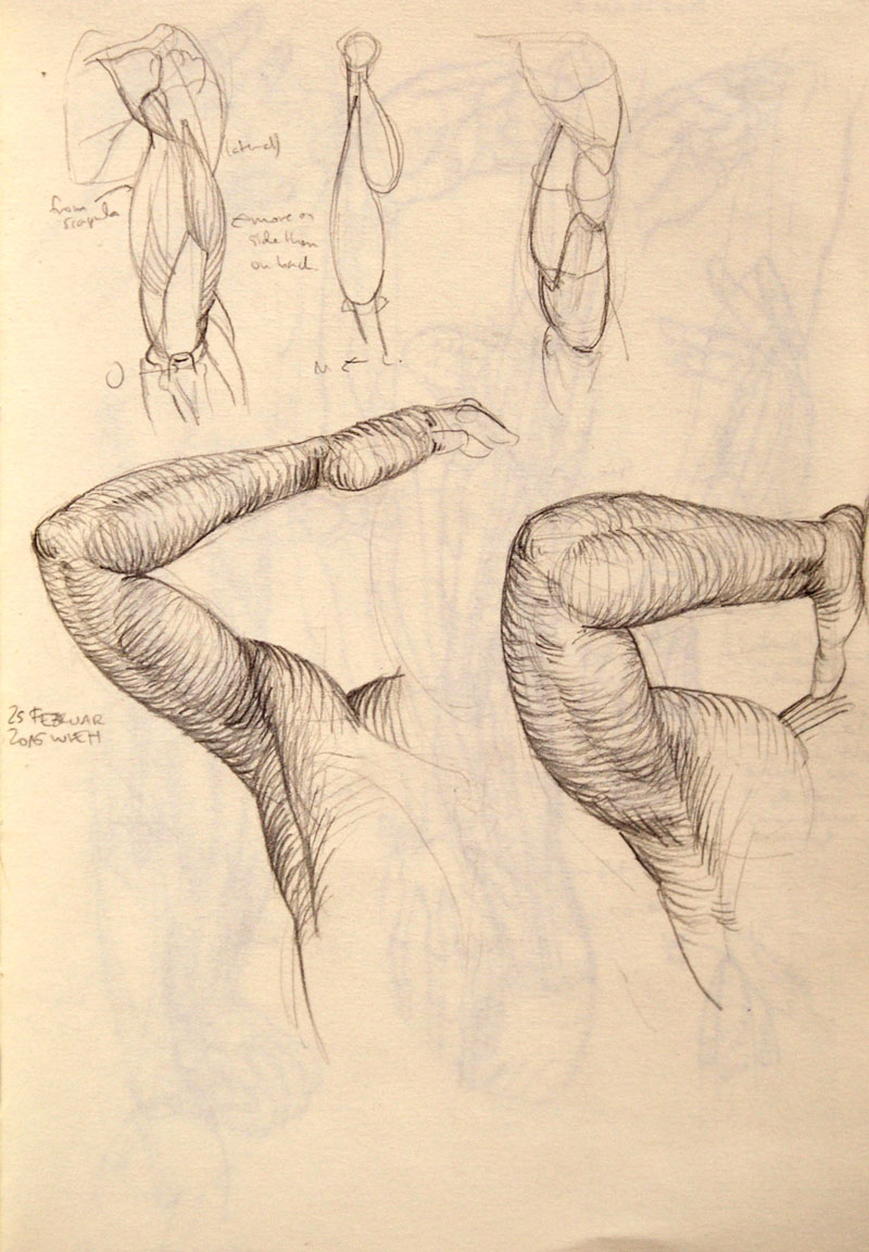 800x1153 Arms The Duchess