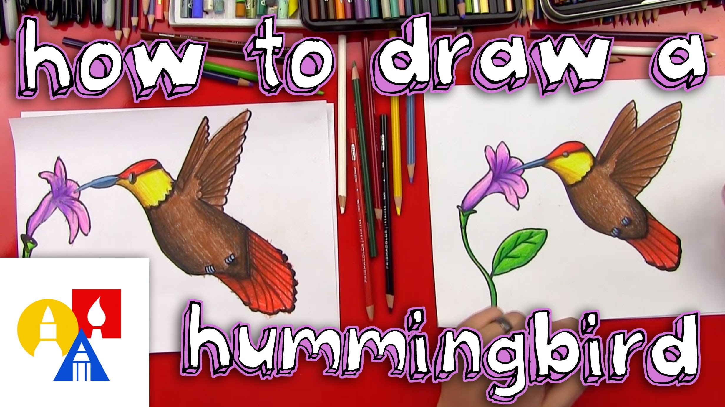 2463x1381 How To Draw A Hummingbird