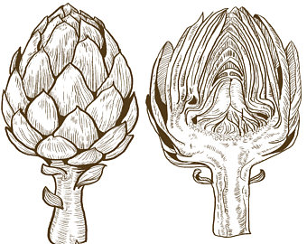 340x270 Artichoke Drawing Etsy