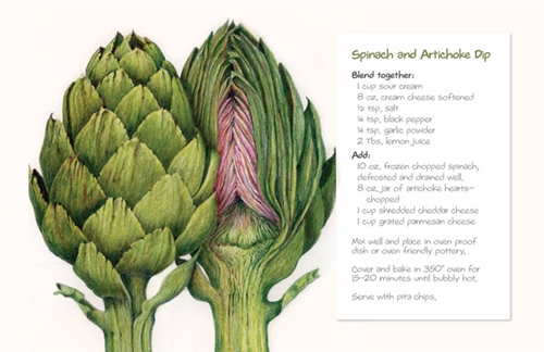 500x324 Original Colored Pencil Art Print By Botanical Artist Maryellen