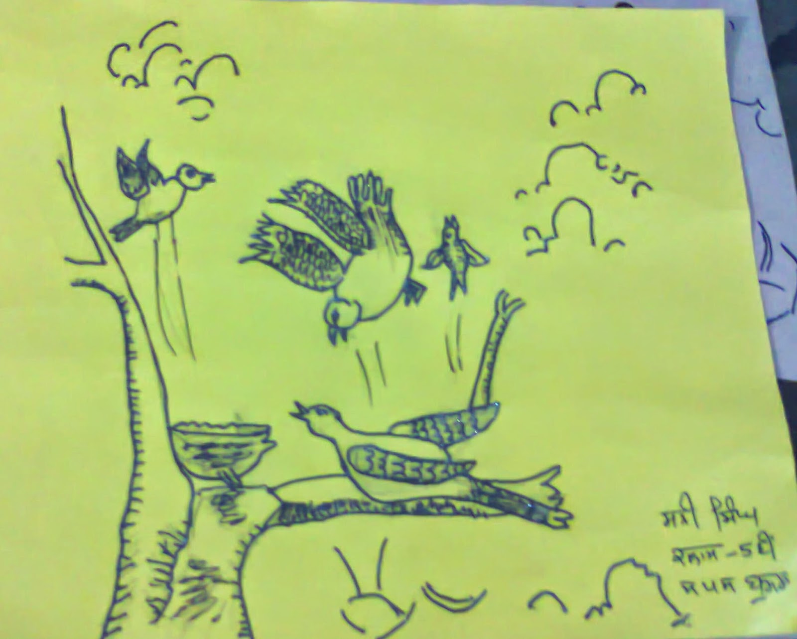 1600x1283 Drawing By 5th Class Student