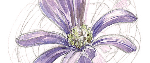 590x251 How To Paint Flowers In Watercolours
