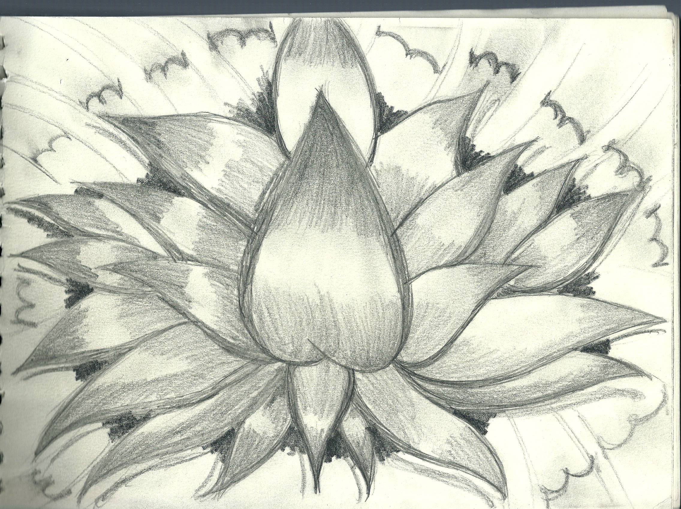 2272x1699 Image Art Drawings Flowers