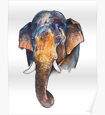 210x230 Asian Elephant Drawing Posters Redbubble