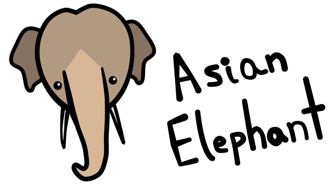 1280x720 Cute And Quick 2.0 How To Draw An Asian Elephant