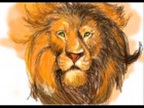 480x360 How To Draw Aslan From Narnia