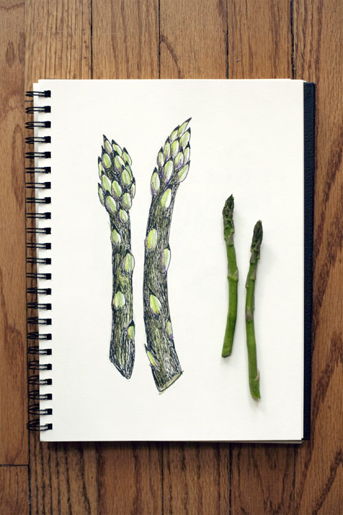 500x750 15 Day Drawing Challenge Week 3 Wit Amp Whistle