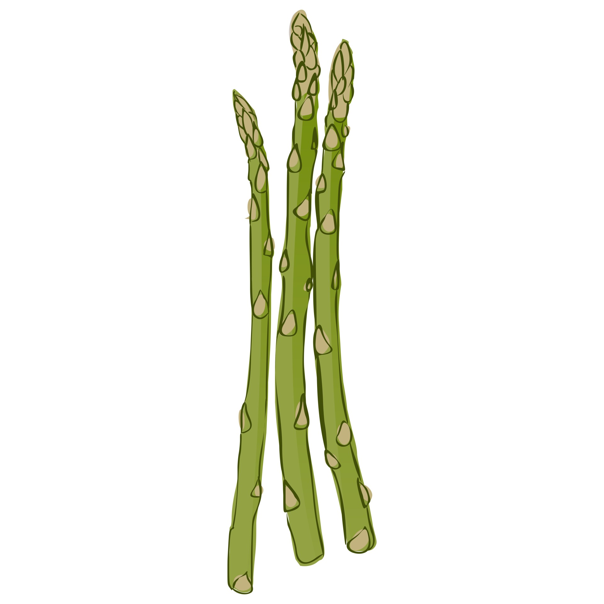 1920x1920 Asparagus Free Stock Photo
