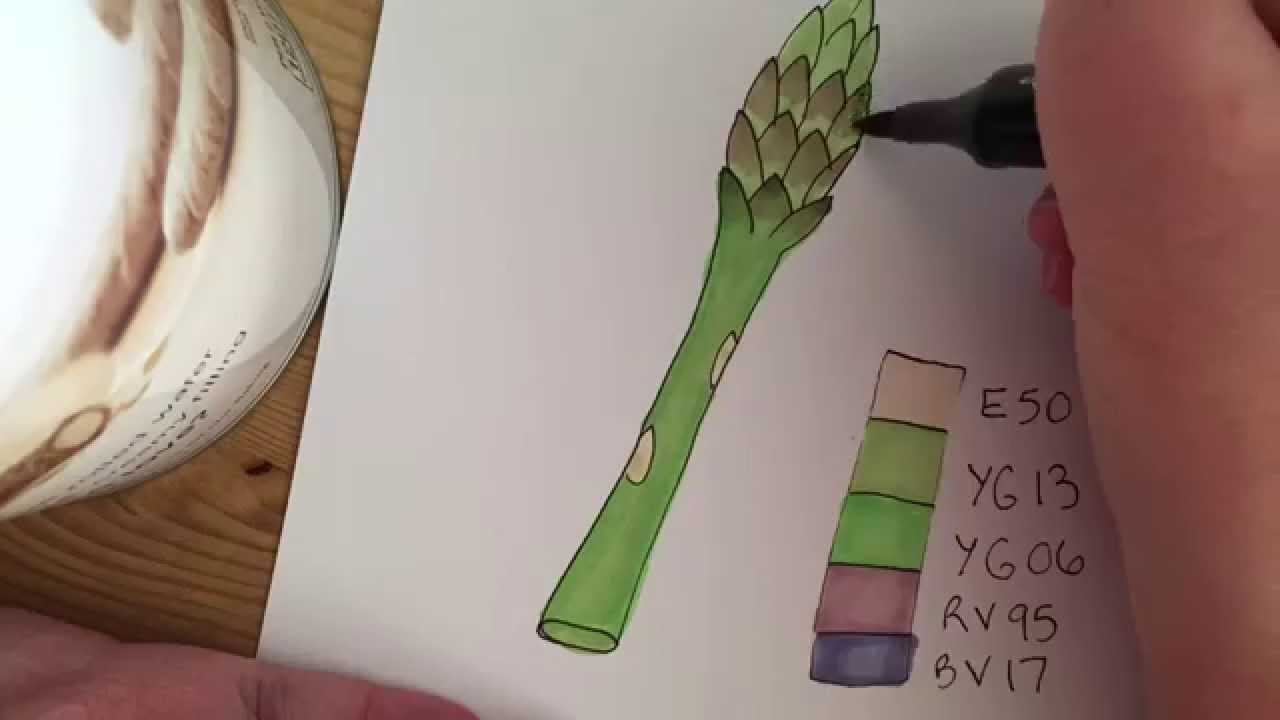 1280x720 Drawing And Coloring Asparagus With Copic Markers