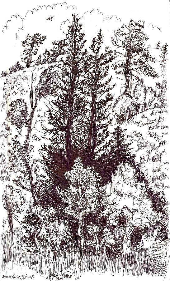 546x900 Mountain Pines And Aspen Field Sketch Drawing By Dawn Senior Trask