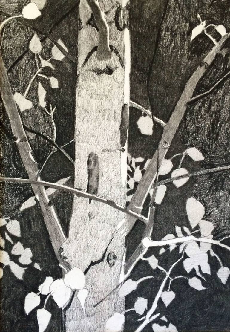 770x1111 Saatchi Art Aspen Drawing By Meredith Nemirov