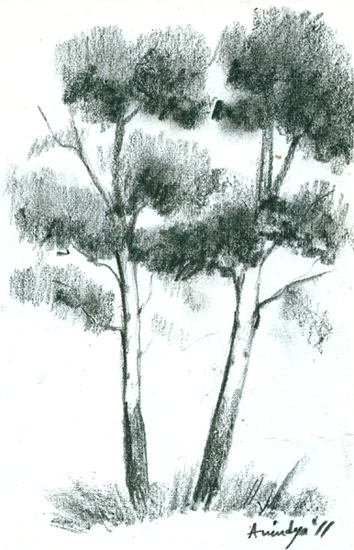 354x550 Painting Trees Part 2 Watercolor Discussion Forum