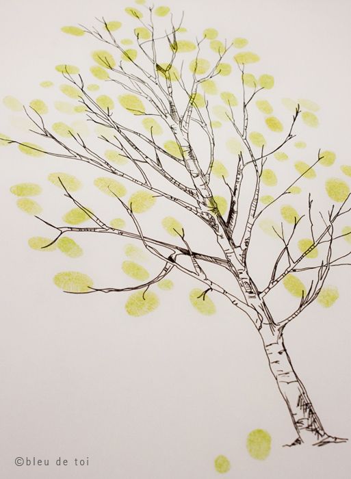 513x700 Aspen Tree Drawing Medium Tall Birchaspen For 75 110 Guest