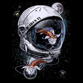290x290 Astronaut Helmet Idea
