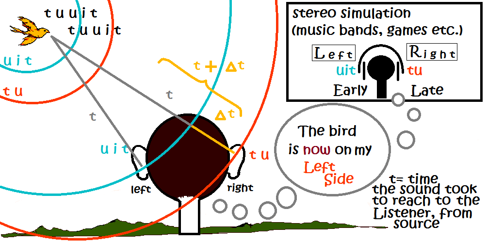 1004x499 Stereophonic Sound